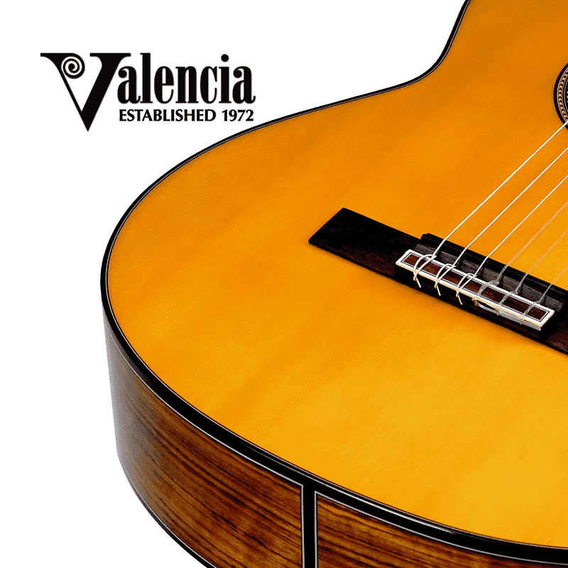 Guitare Electro-Acoustique VALENCIA VC564CE 2 Guitare Electro-Acoustique VALENCIA VC564CE – Image 2