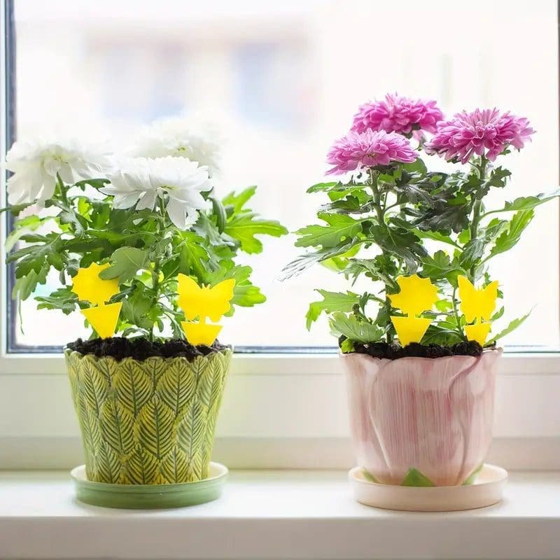 Pièges moucherons autocollants plantes intérieur 4 pcs 20 cm 6 Pièges moucherons autocollants plantes intérieur 4 pcs 20 cm - الصورة 6