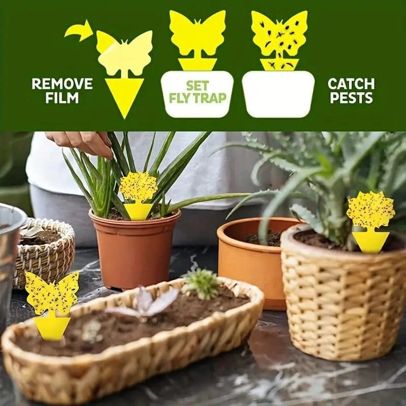 Pièges moucherons autocollants plantes intérieur 4 pcs 20 cm 15 Pièges moucherons autocollants plantes intérieur 4 pcs 20 cm - الصورة 15