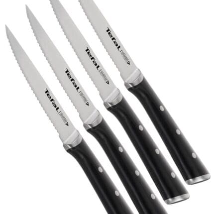 Couteau à Steak Ice Force Set de 4