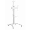 Support TV Gembird sur pied 37-70 pouces, blanc